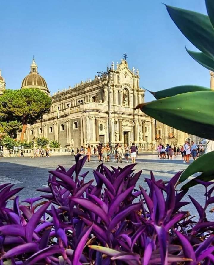 Villa La Piccola Grotta Ursino Aeroporto di Catania Fontana Rossa Esterno foto