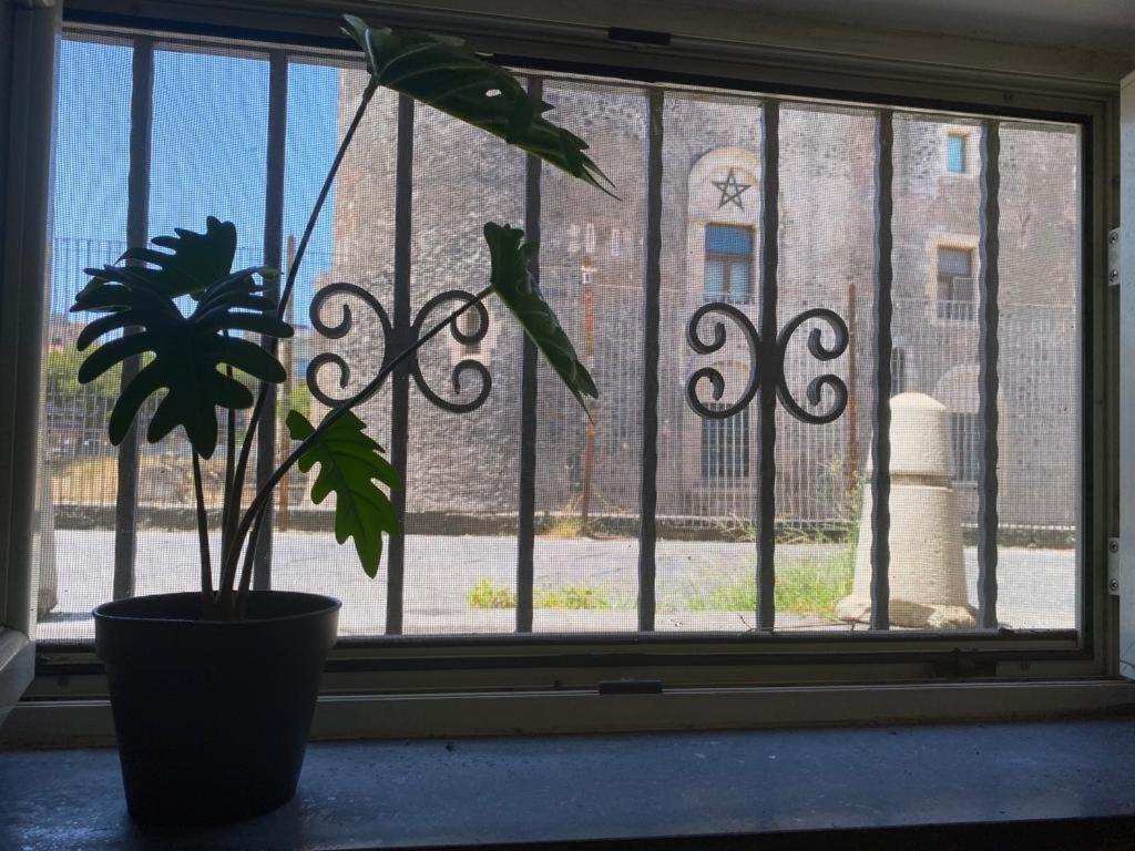 Villa La Piccola Grotta Ursino Aeroporto di Catania Fontana Rossa Esterno foto